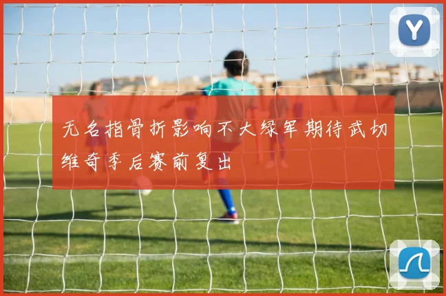 无名指骨折影响不大绿军期待武切维奇季后赛前复出