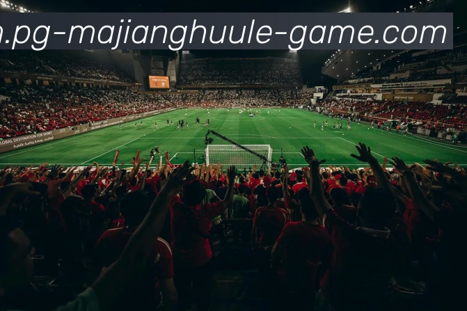 麻将胡了平台生态图